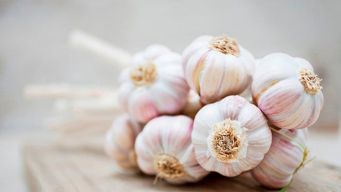 Top 5 Immune Boosting Foods for 40+